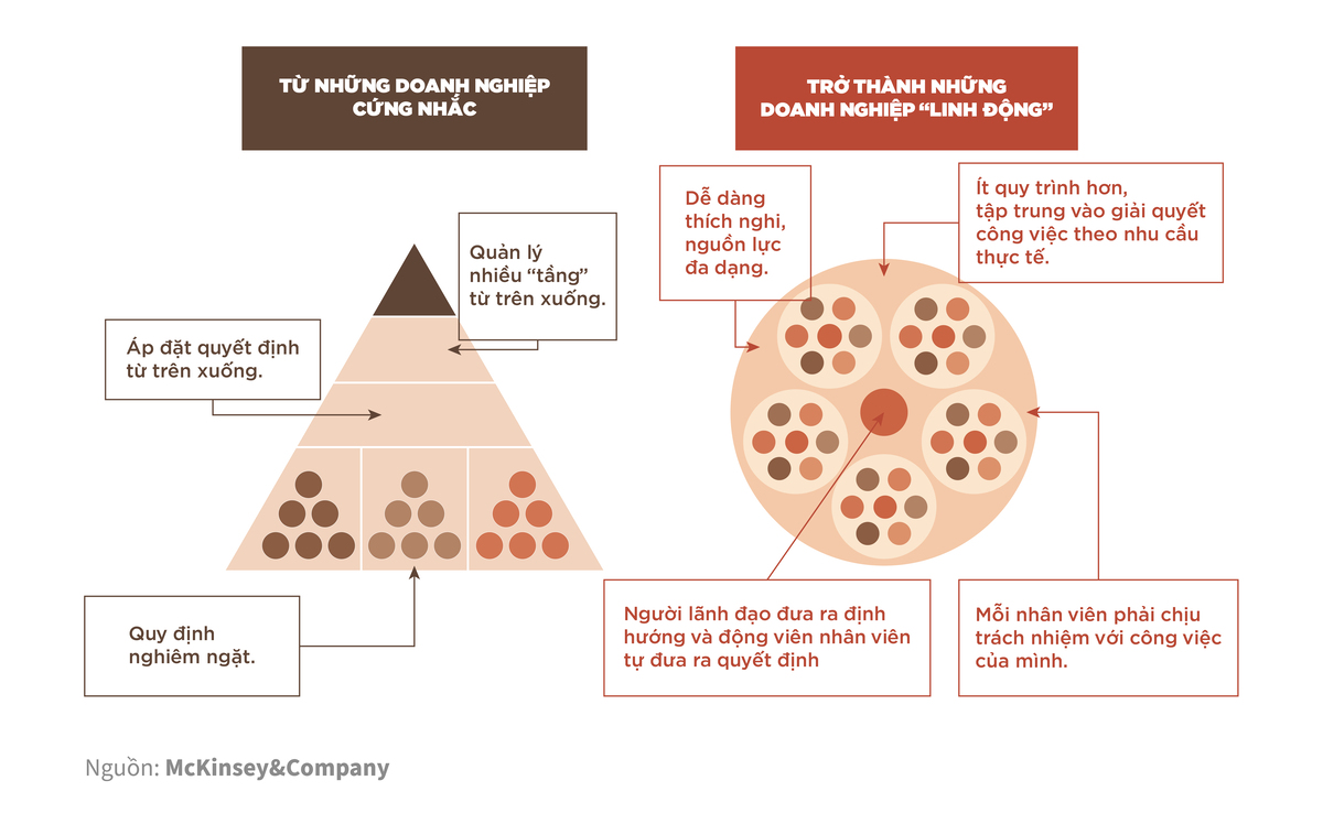 #HRTrending - Ưu Thế Của Mô Hình Quản Trị Vòng Tròn 4 The circle model requires employees to quickly sharpen themselves to adapt