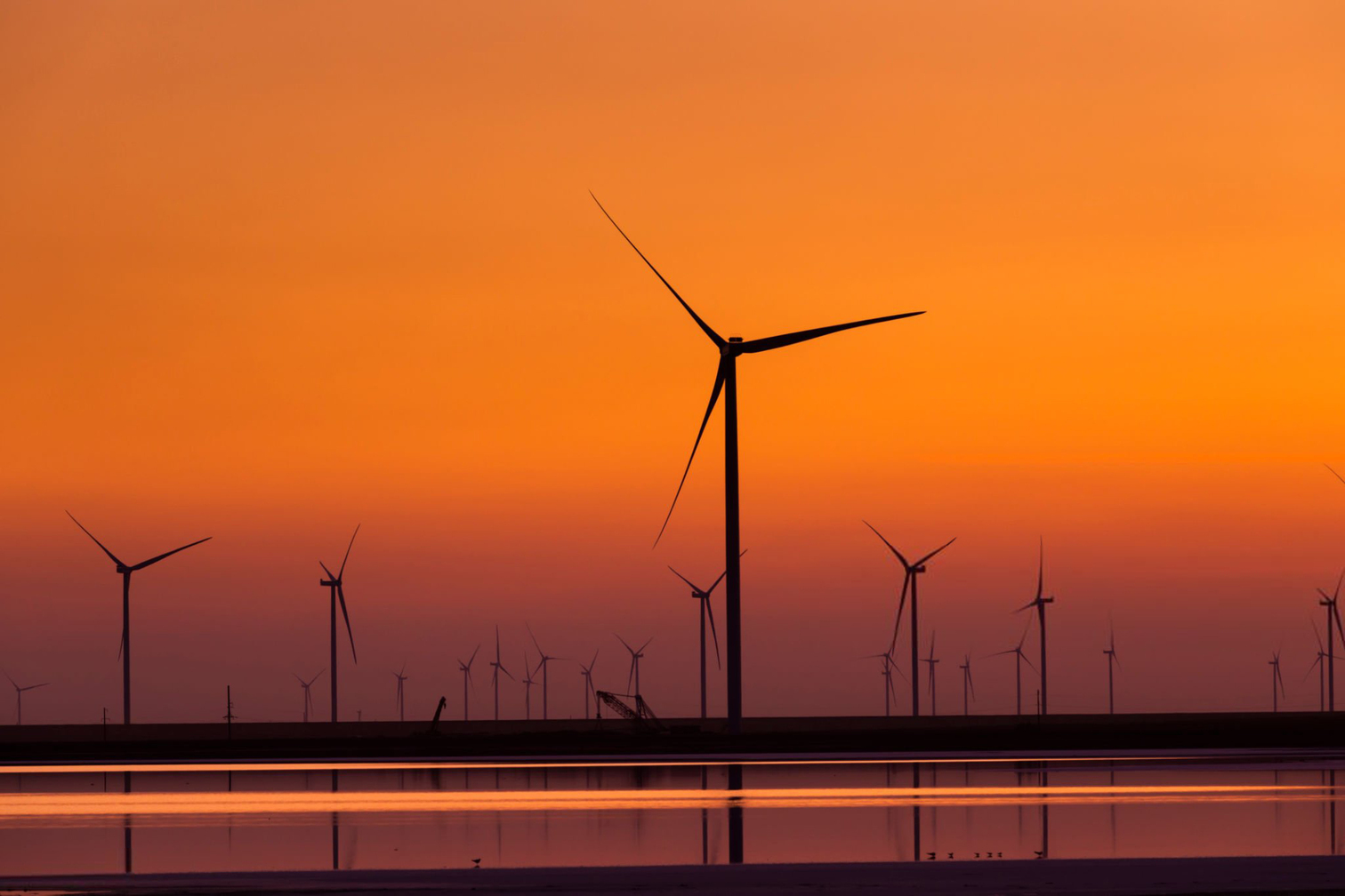 The Touch of Innovation TBIS 2023