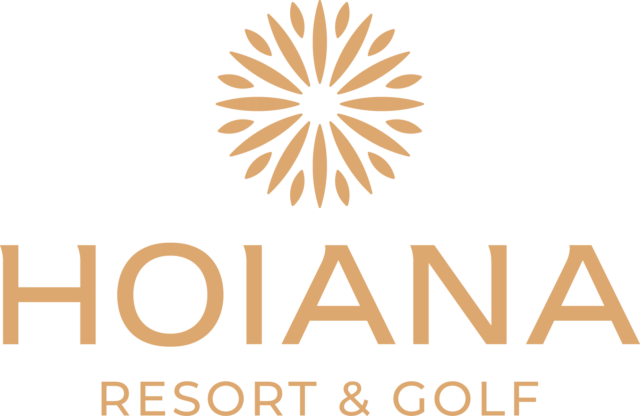 Hoiana LOGO FULL BRONZE