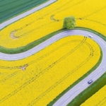 How To Build An AI Implementation Roadmap For Business Success