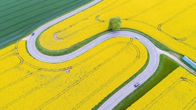 How To Build An AI Implementation Roadmap For Business Success