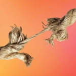 PMS - Performance management system 19 Why Gen Z Burnout Is Destroying Workplaces & How to Fix It