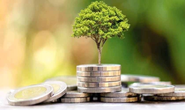 Chương Trình Sức Khỏe Tài Chính Cho Nhân Viên Tại Nơi Làm Việc 2025