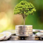 Financial Wellness Programs In The Workplace 2025