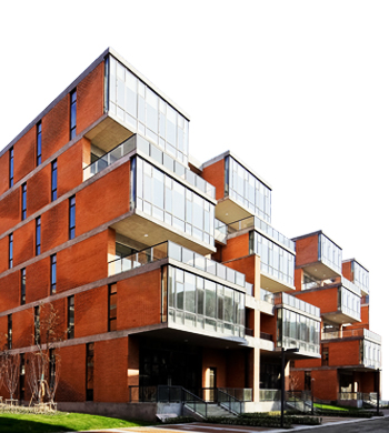 HR & People Success program