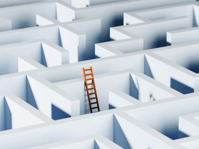 HR Management Program For Professional