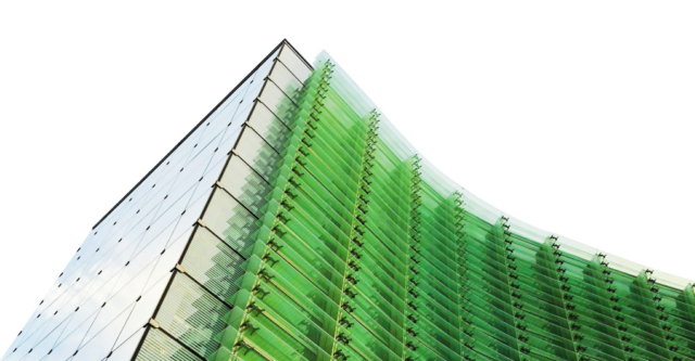 From Fragmentation to Framework: Aligning Pay Across a 30,000-Employee Vietnamese Conglomerate