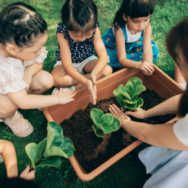 2025 marks new phase in ESG journey: Talentnet