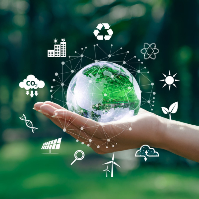 2025 – A new milestone for Talentnet's sustainable development journey