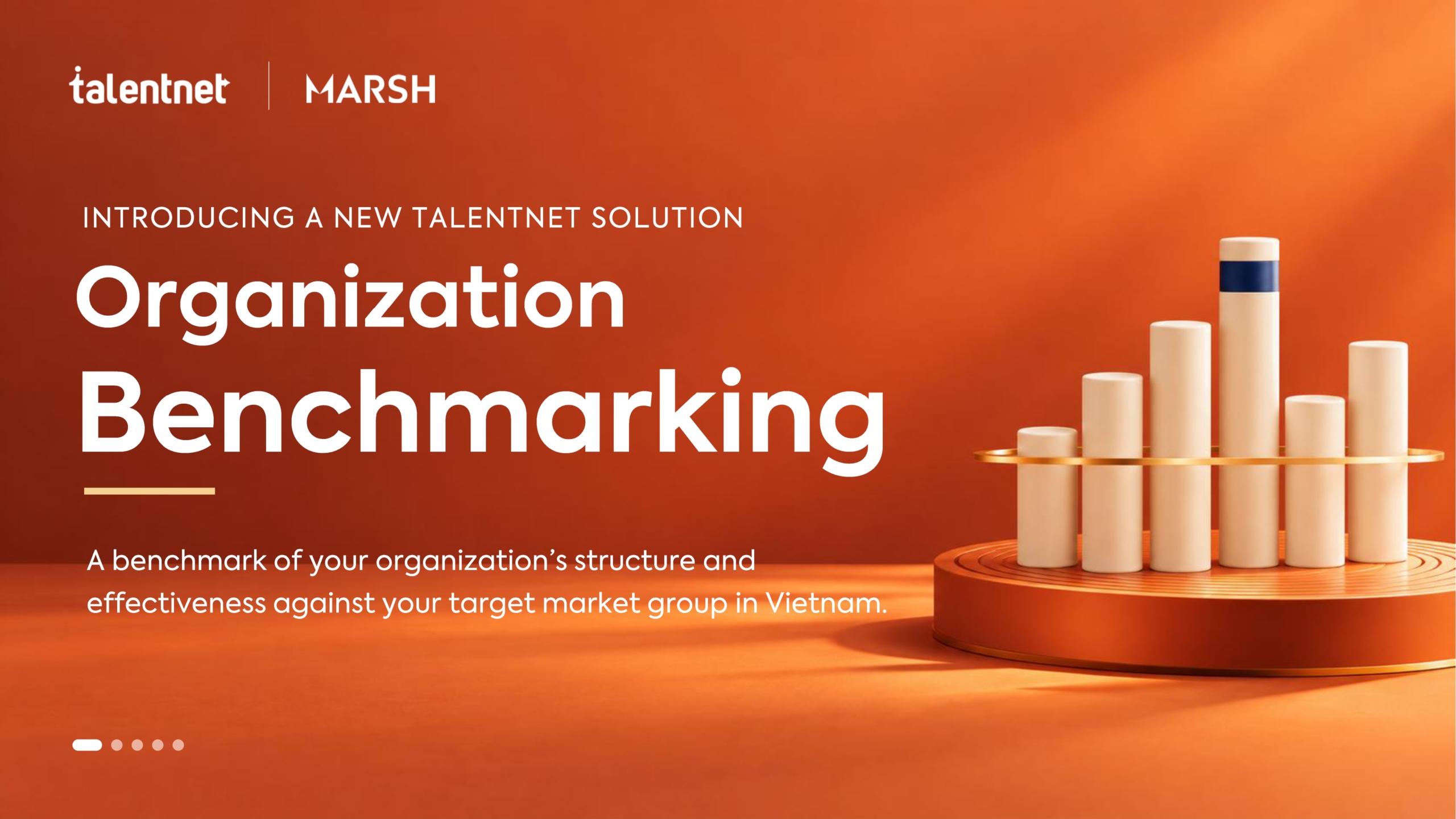 Org Benchmarking_Sample - Website_page-0001